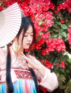 待枫叶落满长安，再续这段缘
